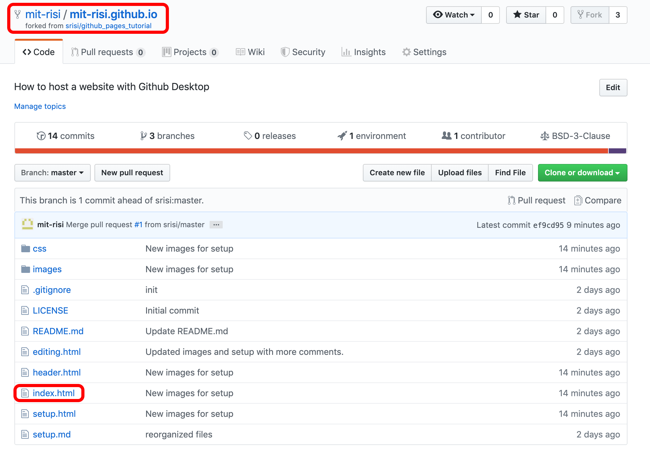 Repo image. Select index.html