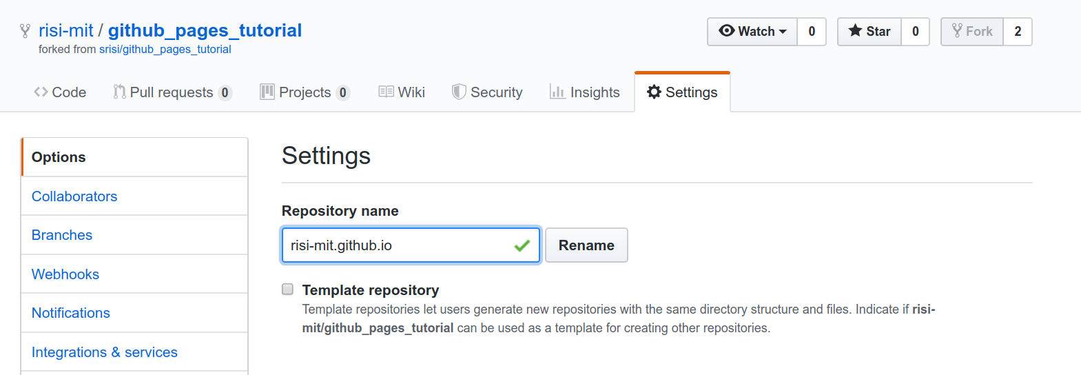 Github Forked Website